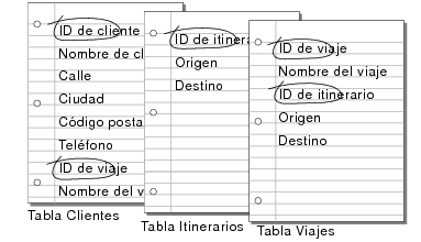 Campos identificados como coincidentes en las tablas Clientes, Rutas y Tours